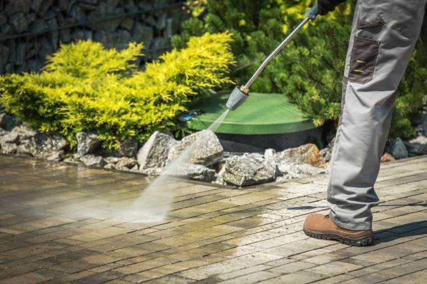 Best Pre-Holiday Cleaning  in Pittsburg, KS